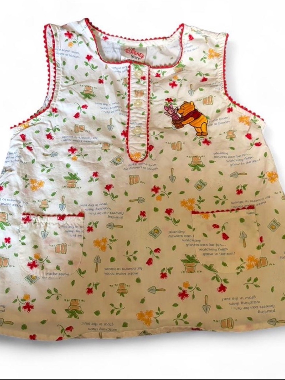 Winnie The Pooh Garden Tank